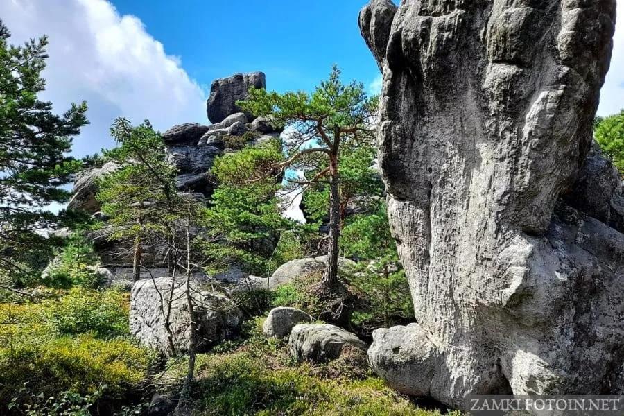 Pokoje U Filipa Kudowa-Zdrój Exteriér fotografie